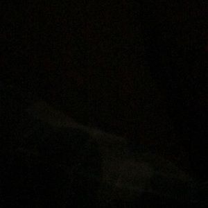 Meet your Posher, Maribel